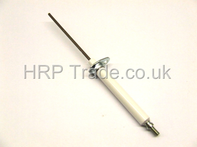 OIL SPARES  P25177Z